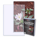 BCW 6x9 Photograph Toploader Topload Holders 6” x 9” Photo or Postcard (Single Count)
